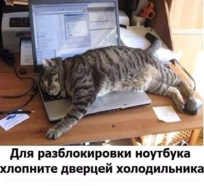 блокировка ноутбука