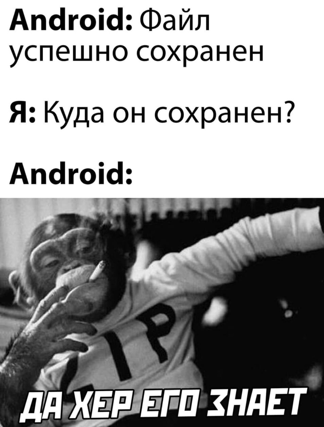 файл сохранен