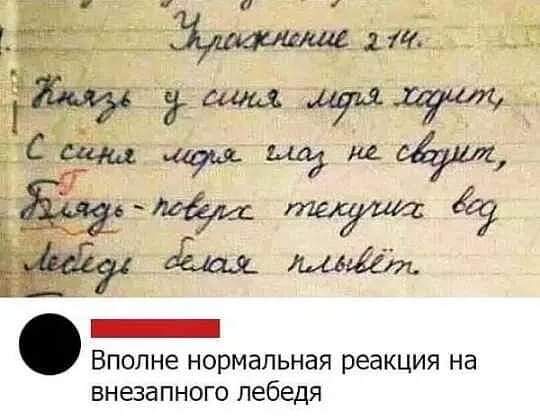 реакция на внезапного лебедя
