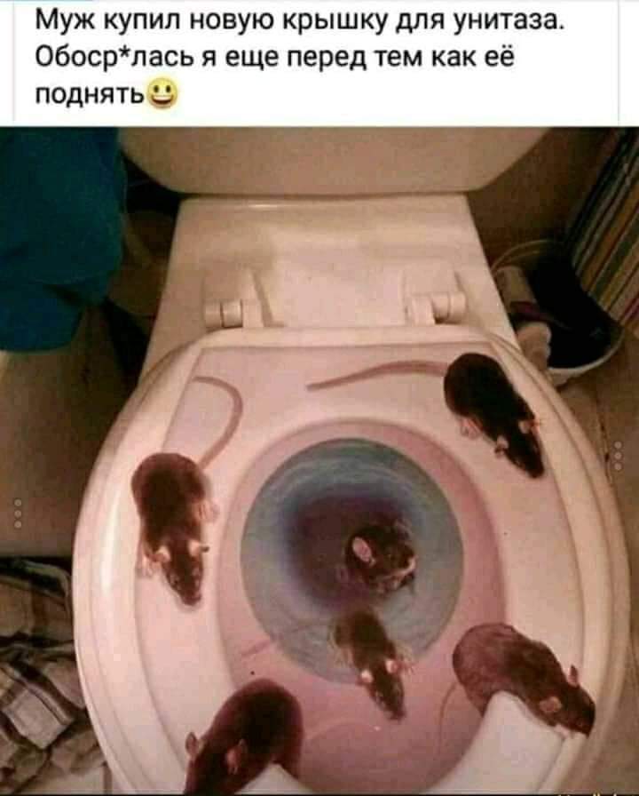 супердизайн