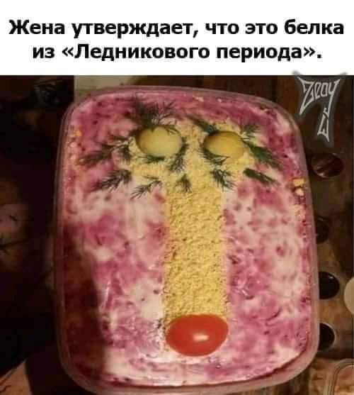 это белка