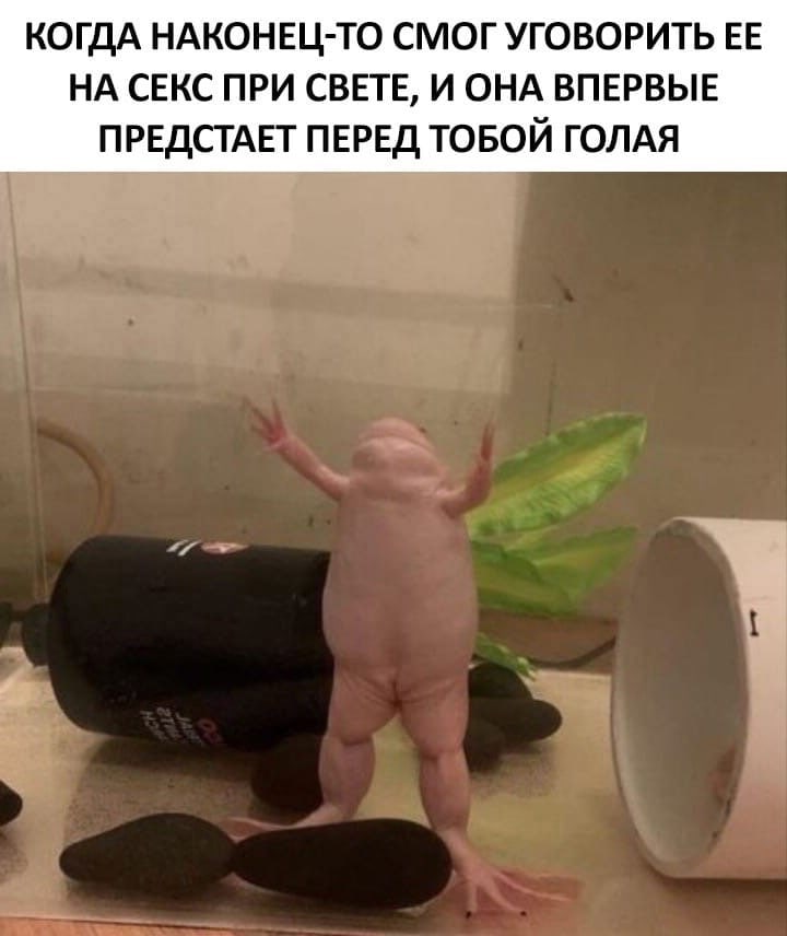 секс при свете