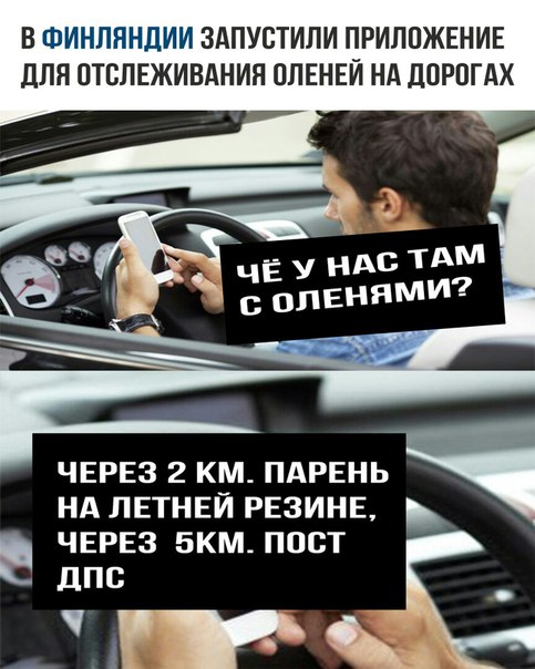 отслеживание оленей