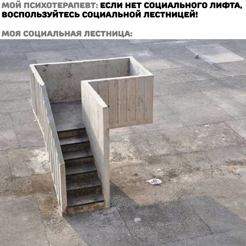 социальная лестница