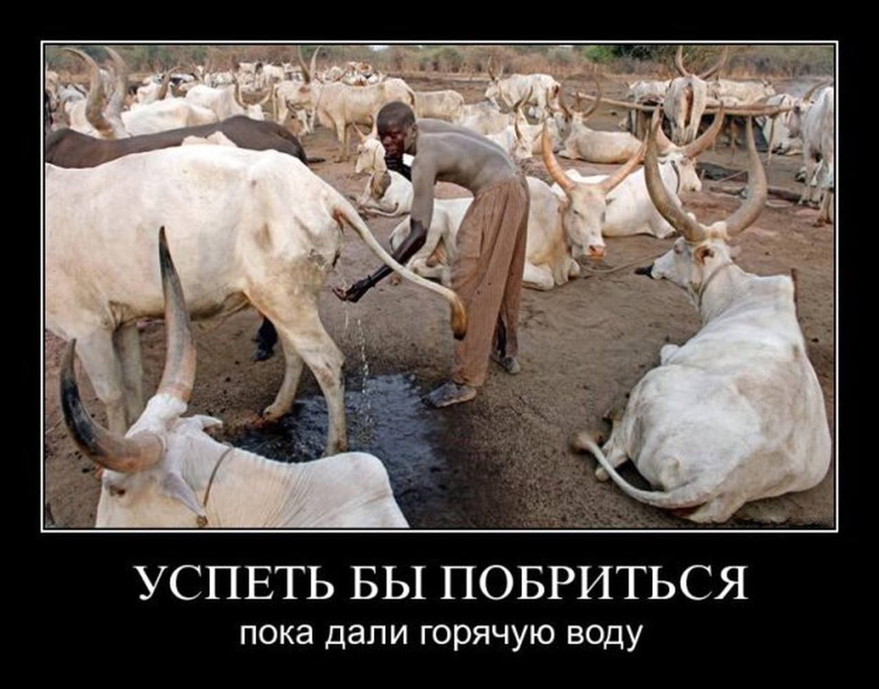 успеть побриться