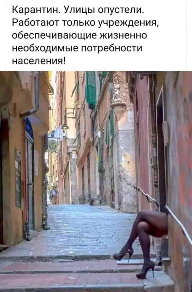 карантин