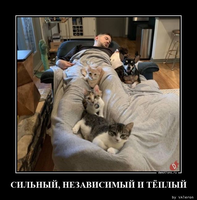 сильный и независимый