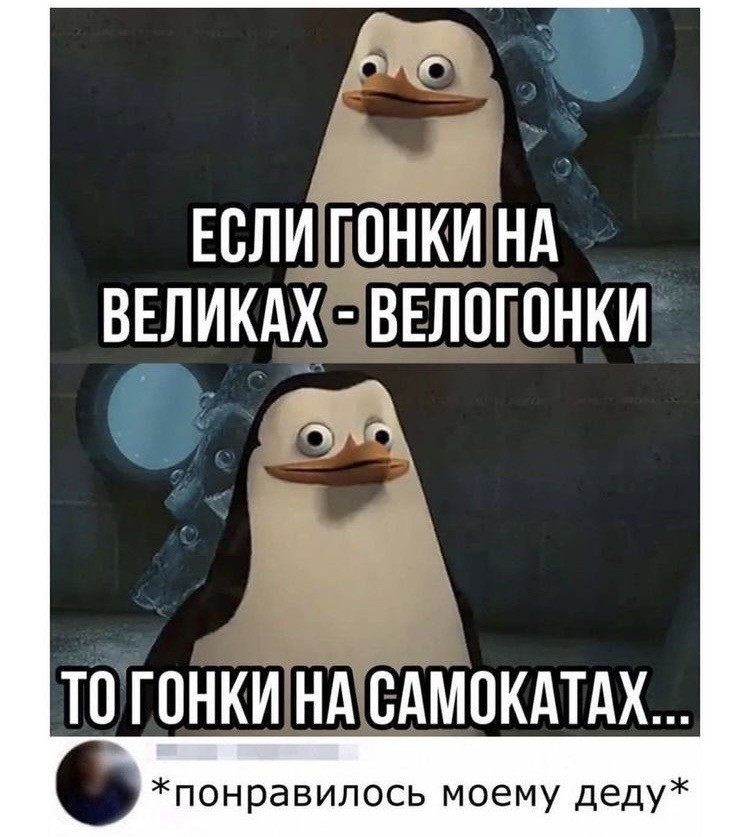 гонки на самокатах?