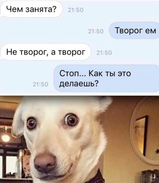 творог