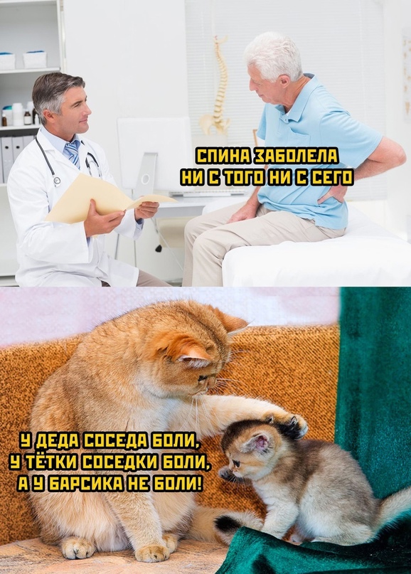 спина заболела