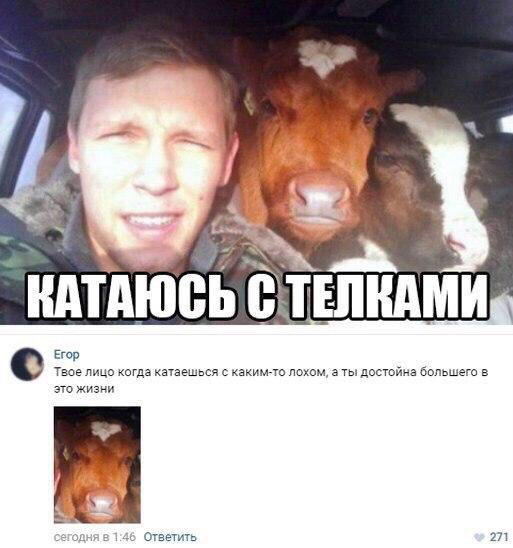 покатушки с телками