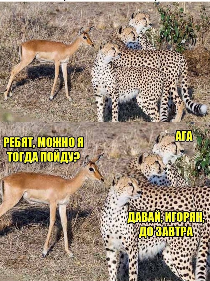 до завтра, Игорян