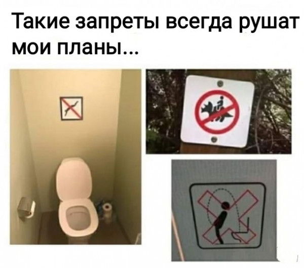 запреты