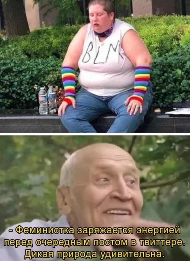 в дикой природе