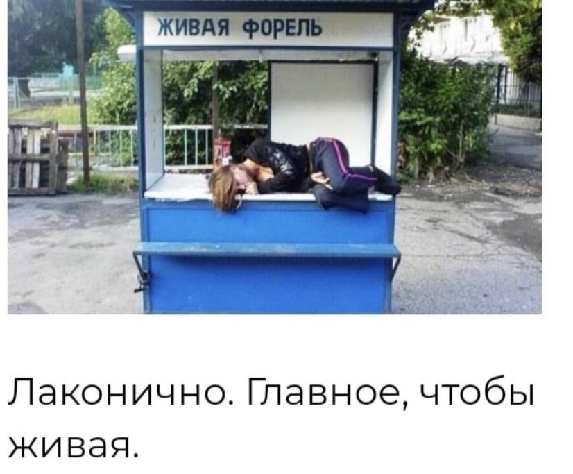 форель
