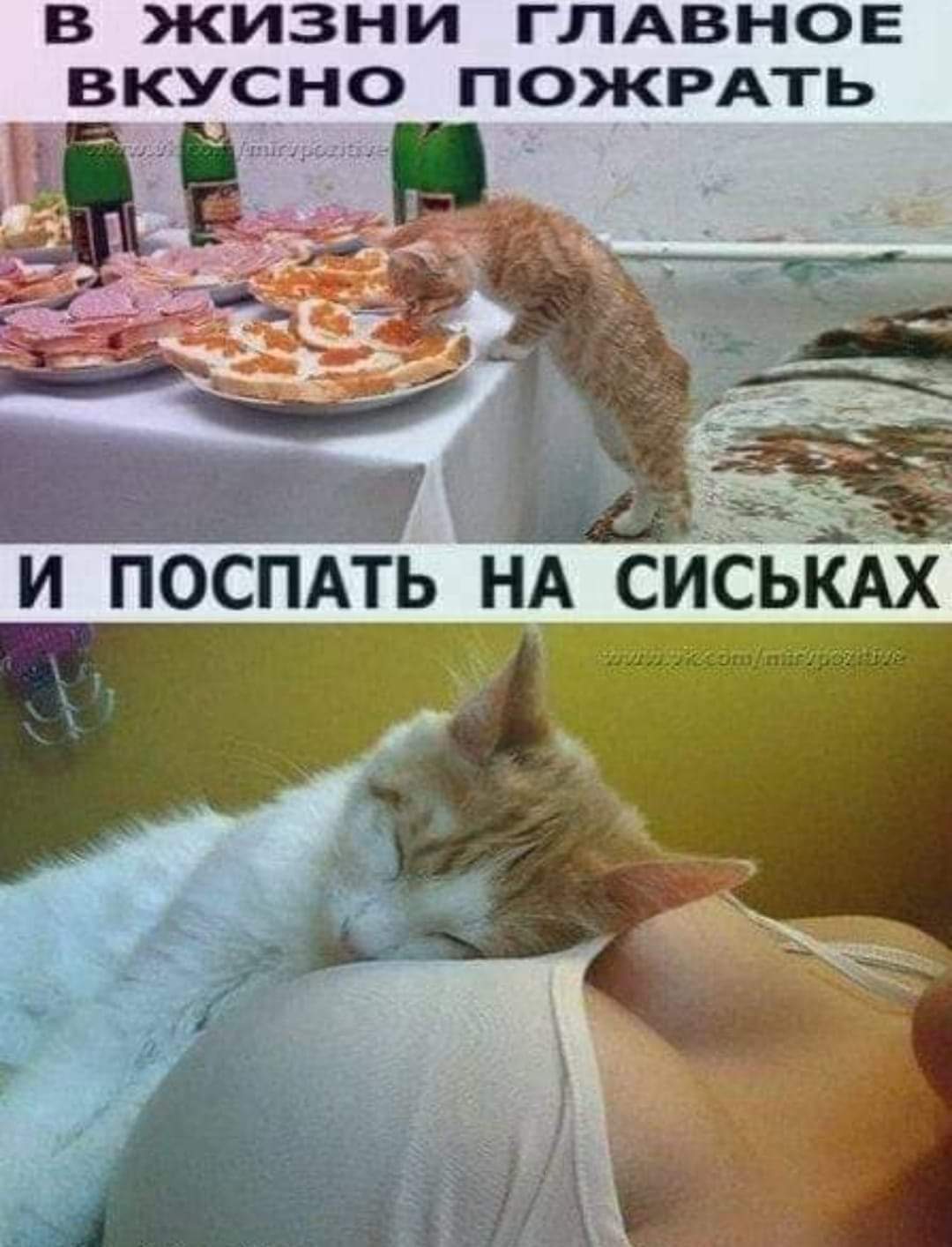 поесть и поспать