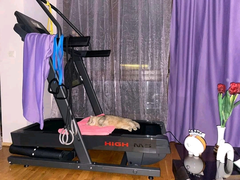спорт