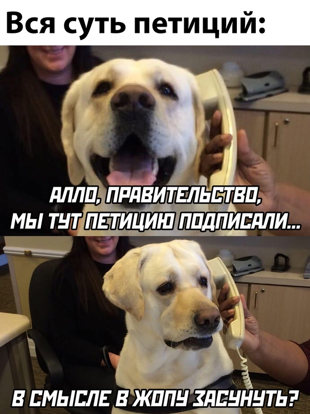 мы тут петицию подписали