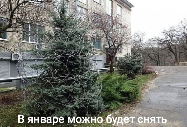 в январе можно будет снять