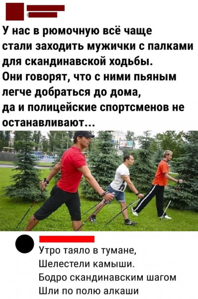 скандинавская ходьба