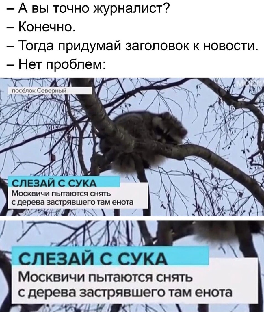 заголовок