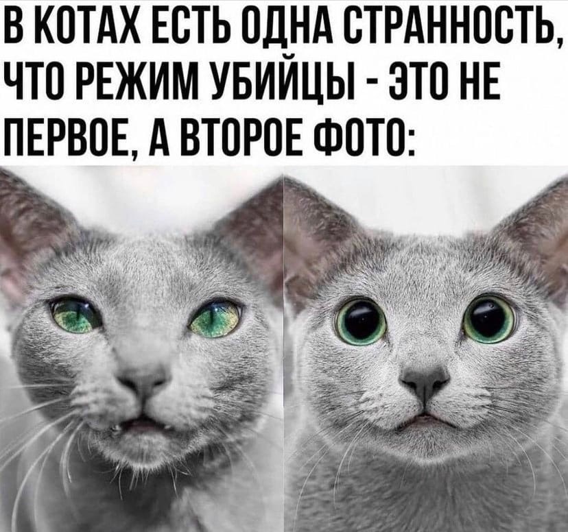 режим убийцы