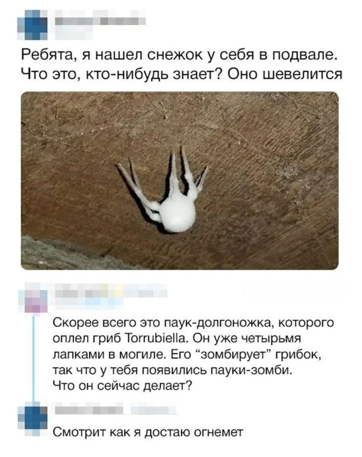 что это?
