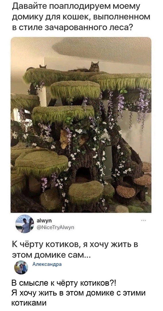 дом
