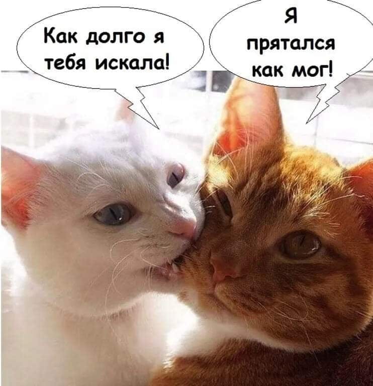 Я прятался как мог
