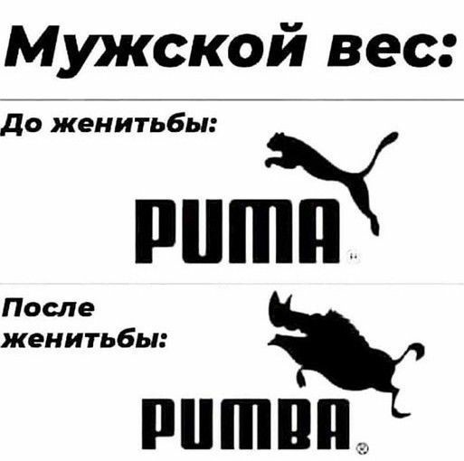 puma-pumba