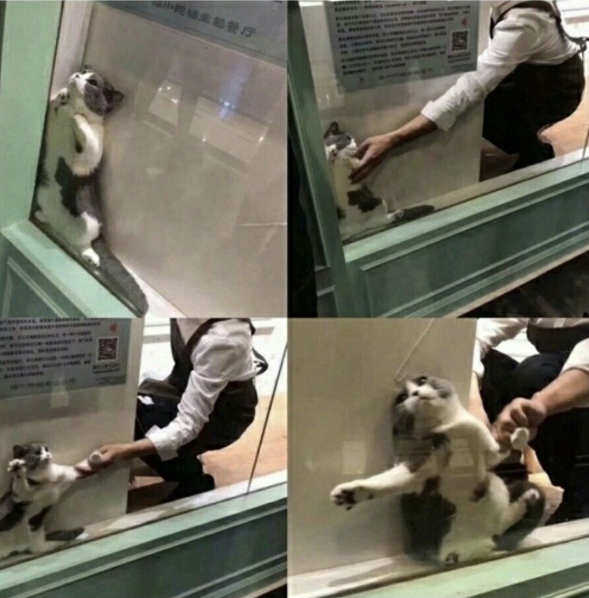 отпусти….