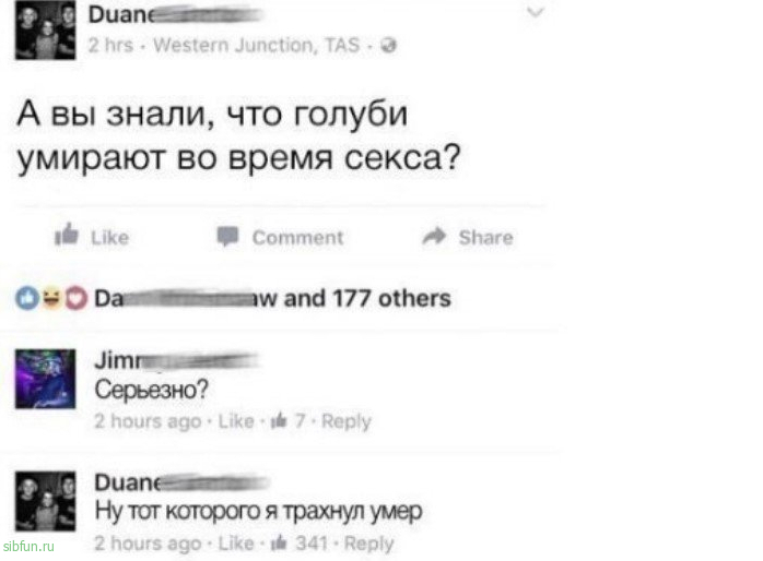 голуби умирают…