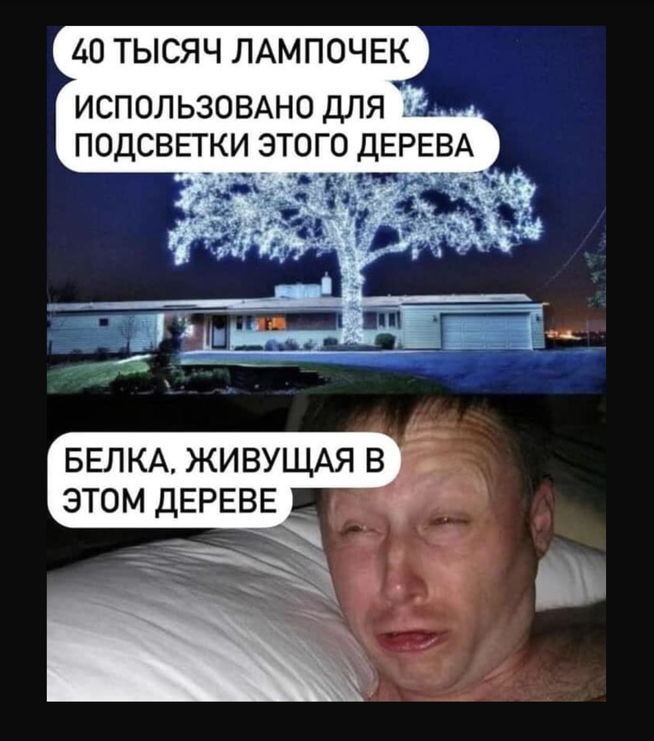 подсветка для белки