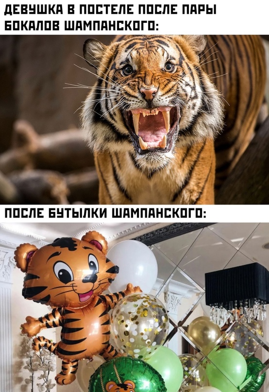 девушка после пары бокалов шампанского