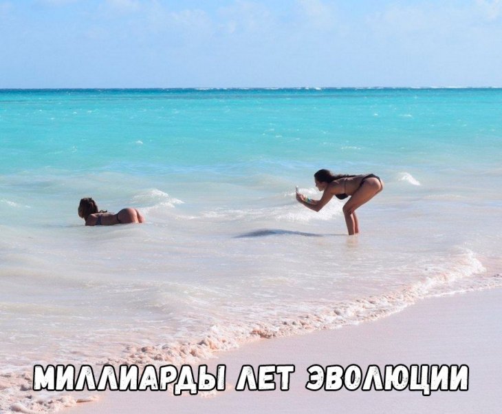 миллиарды лет эволюции