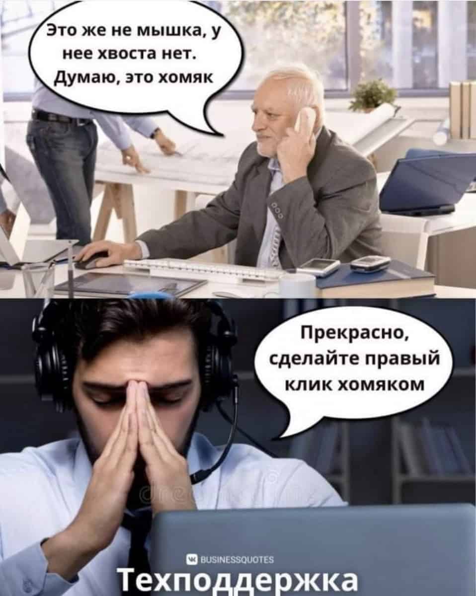 это хомяк