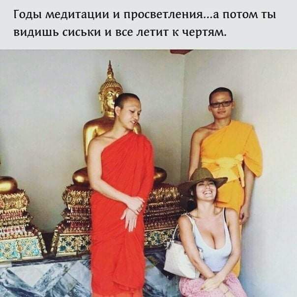 годы медитации…
